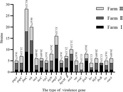 Resistance and virulence gene analysis and molecular typing of Escherichia coli from duck farms in Zhanjiang, China